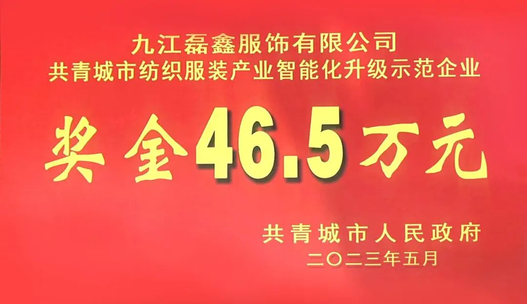 客戶新聞 | 磊鑫服飾榮獲紡織服裝產(chǎn)業(yè)智能化升級(jí)示范企業(yè)！