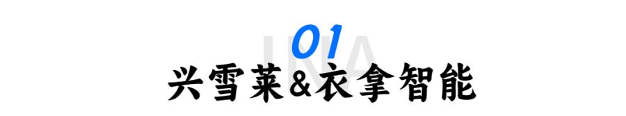 旅游宣傳清新大字公眾號文章標題 (18).jpg